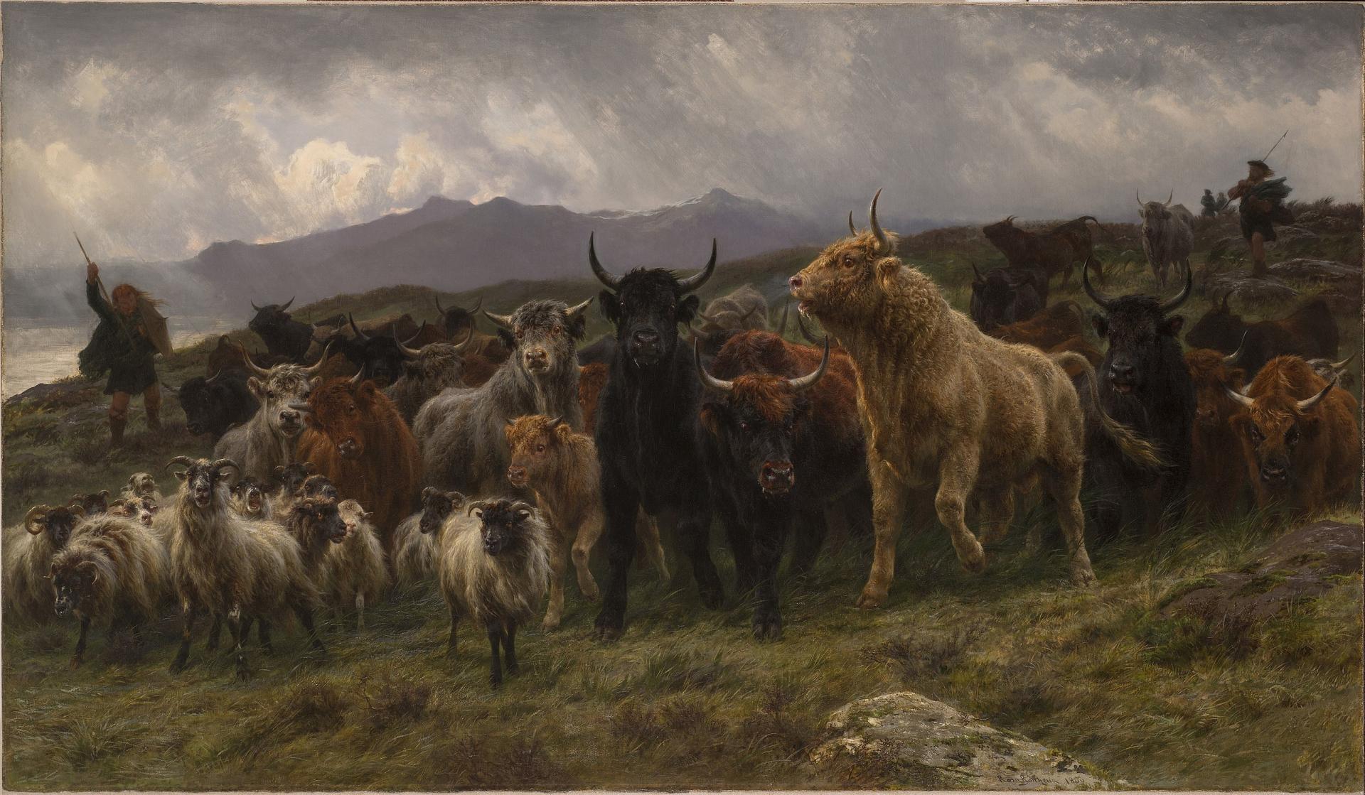2560px rosa bonheur highland raid 1860
