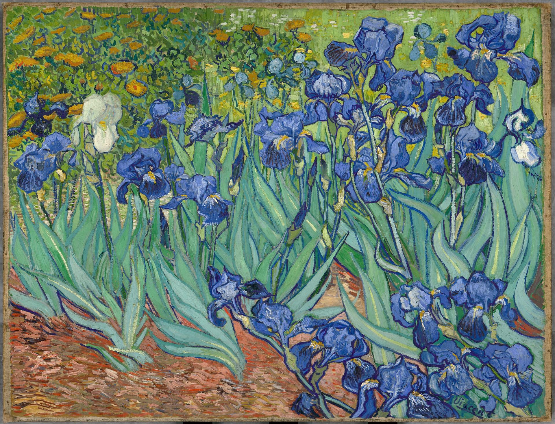 2826px irises vincent van gogh
