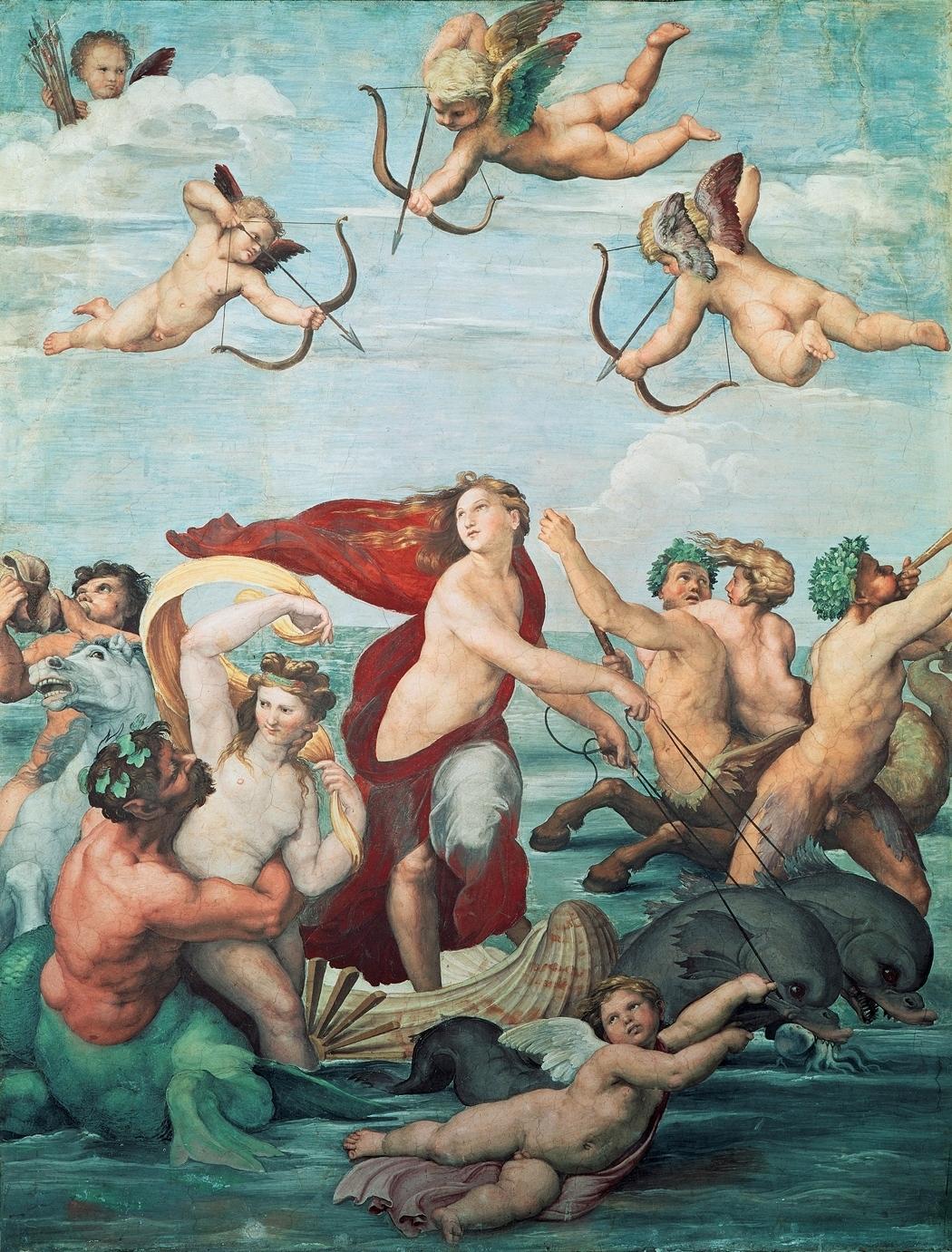 Galatea raphael