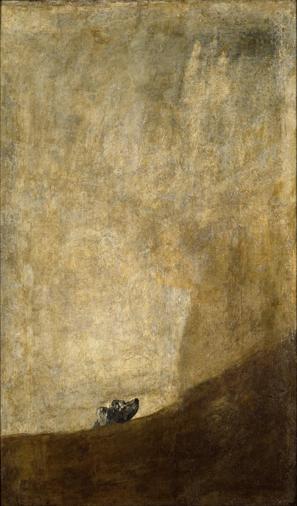 Goya dog
