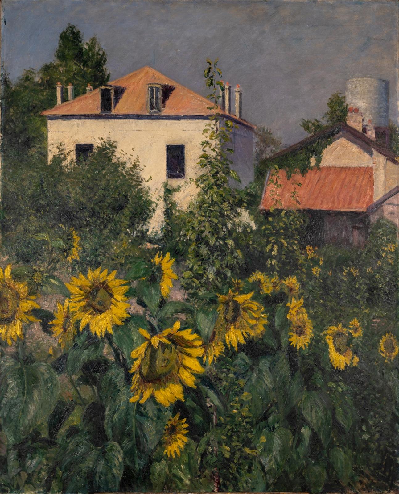 Les soleils jardin du petit gennevilliers g caillebotte vers 1885