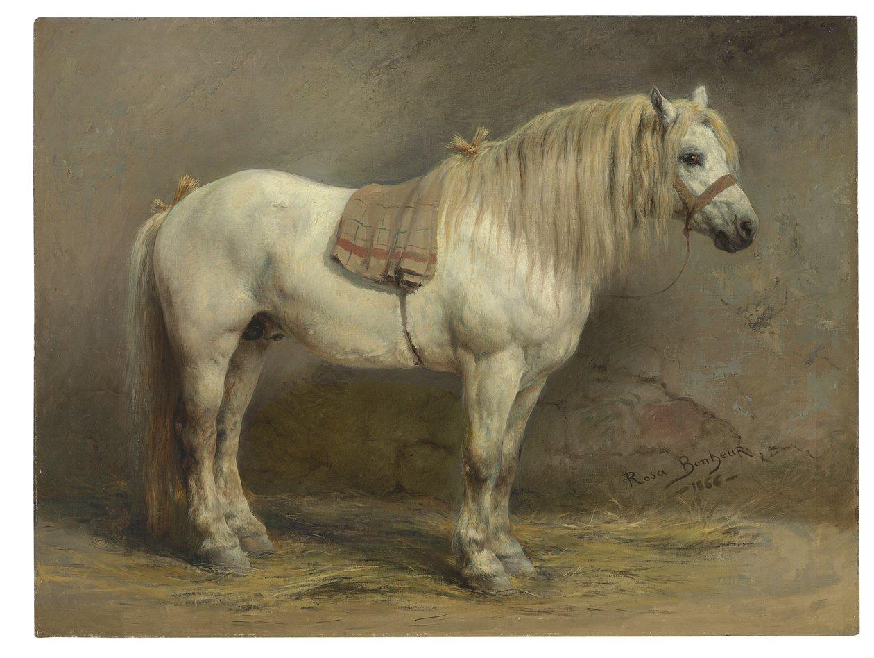 Rosa bonheur a white horse meisterdrucke 1173270