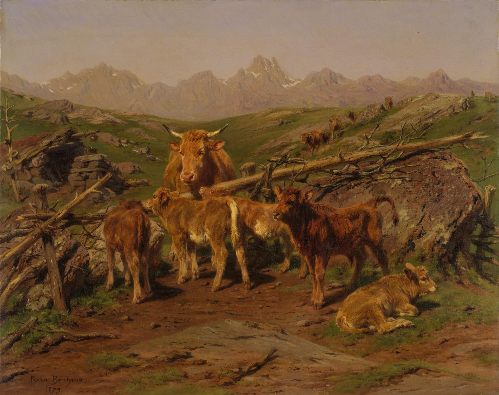 Rosa bonheur calves 1879