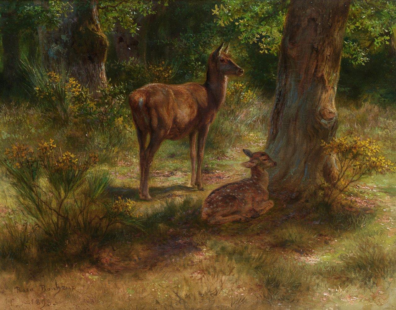 Rosa bonheur deer and fawn in a wood meisterdrucke 664897