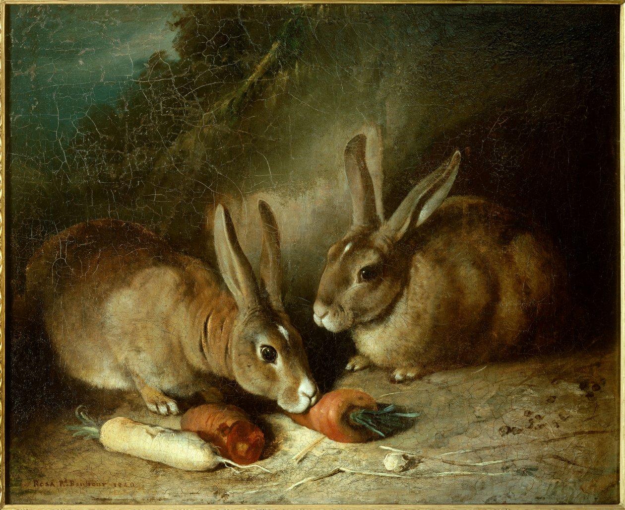 Rosa bonheur rabbits painting by rosa bonheur 1822 1899 meisterdrucke 1029998