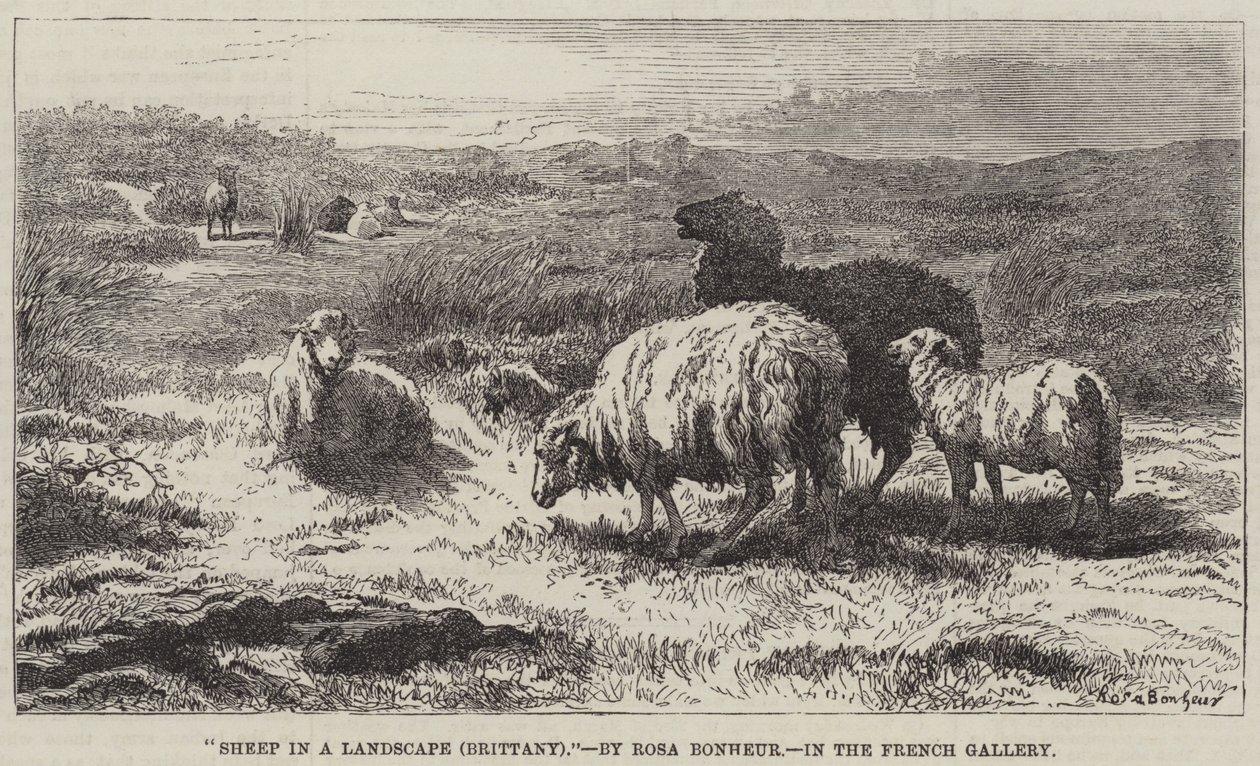Rosa bonheur sheep in a landscape brittany meisterdrucke 313529