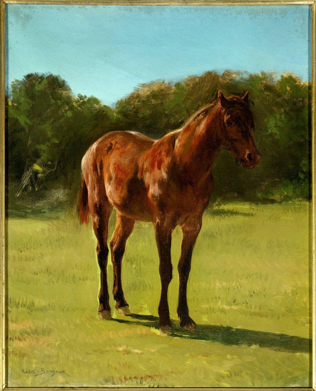 Rosa bonheur study of horse bai cherry painting by rosa bonheur 1822 1899 meisterdrucke 985573