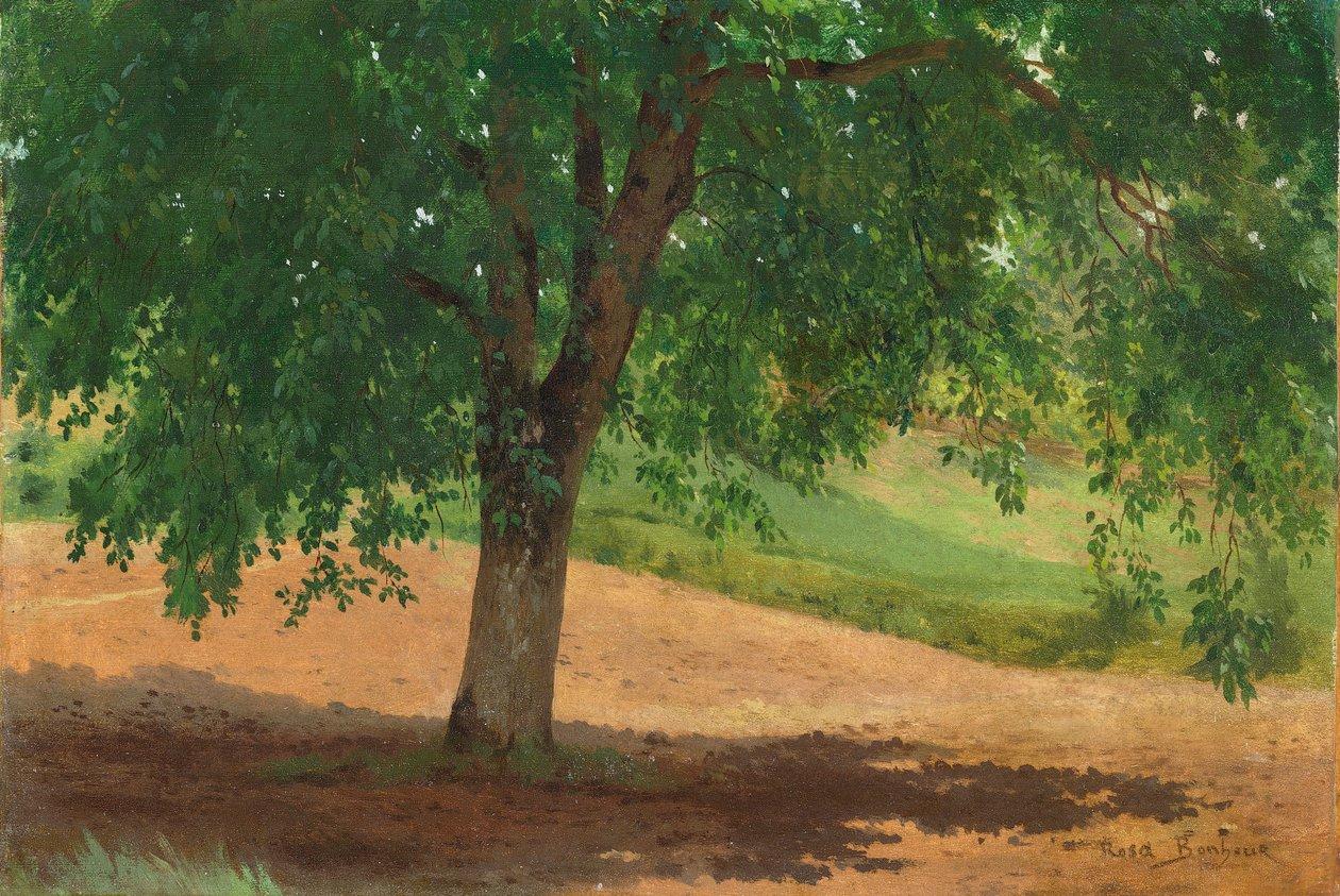 Rosa bonheur study of light and shade oil on card laid down on canvas meisterdrucke 315827