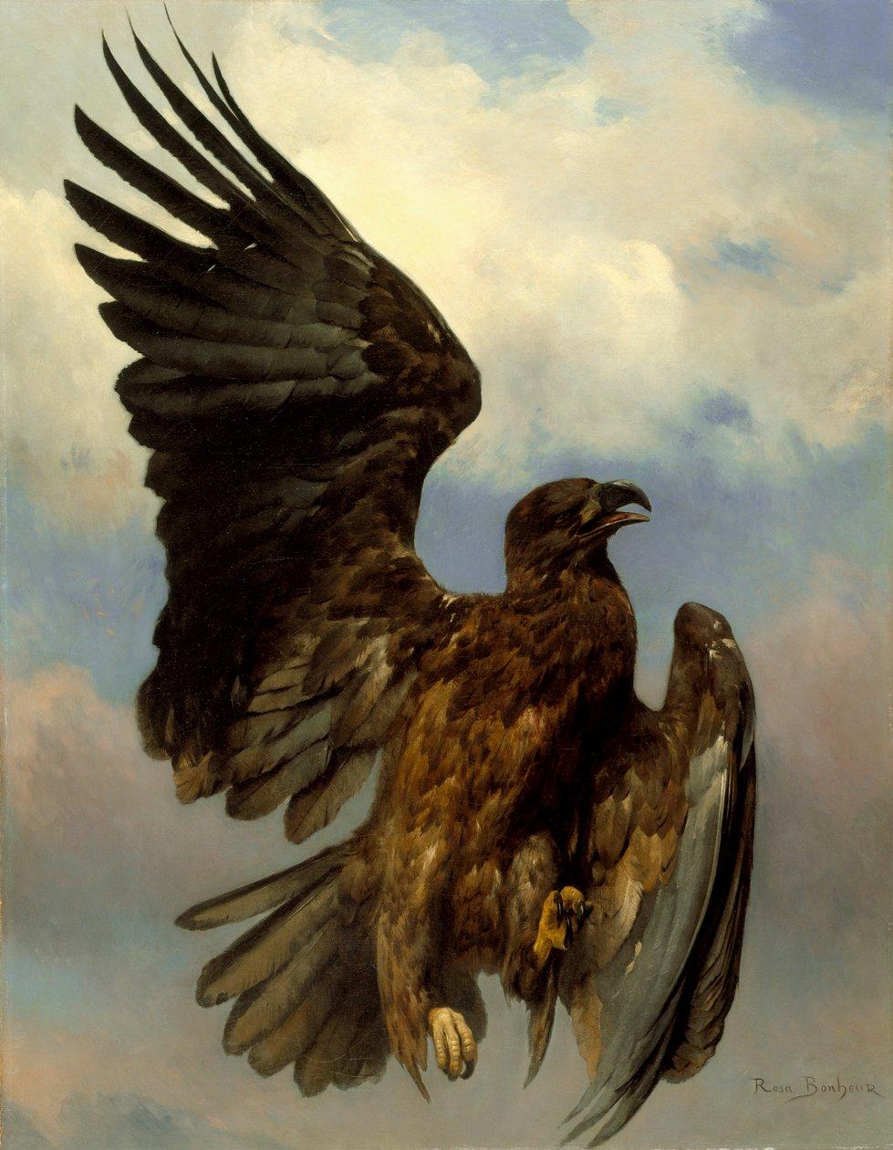 Rosa bonheur the wounded eagle c1870 meisterdrucke 376894