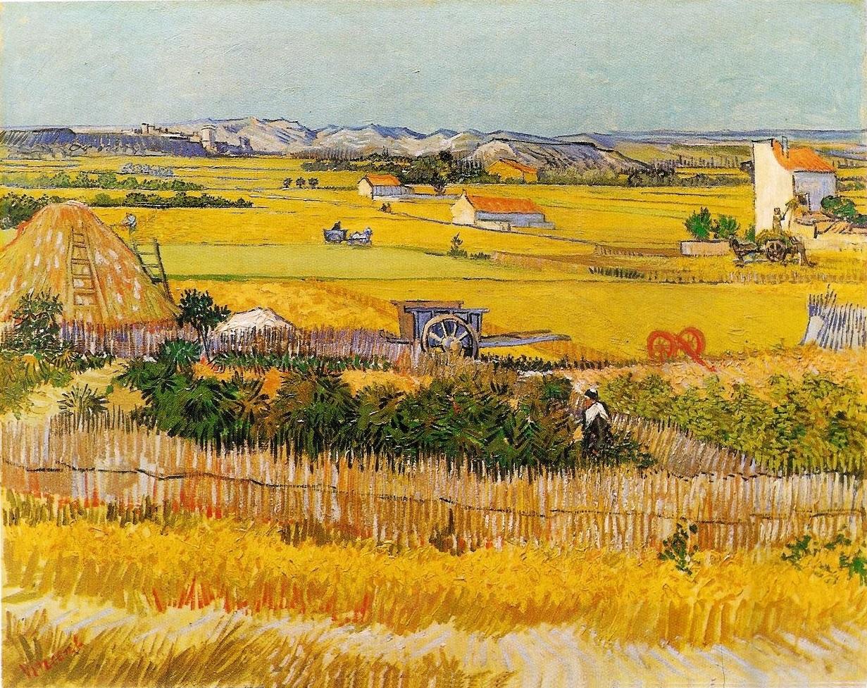 Van gogh la crau