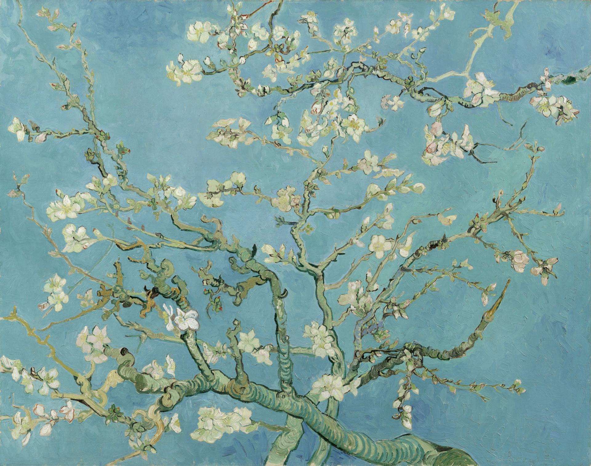 Vincent van gogh almond blossom google art project